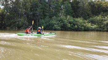 Sierpe river and Mangrove tour, South Pacific, Costa Rica
